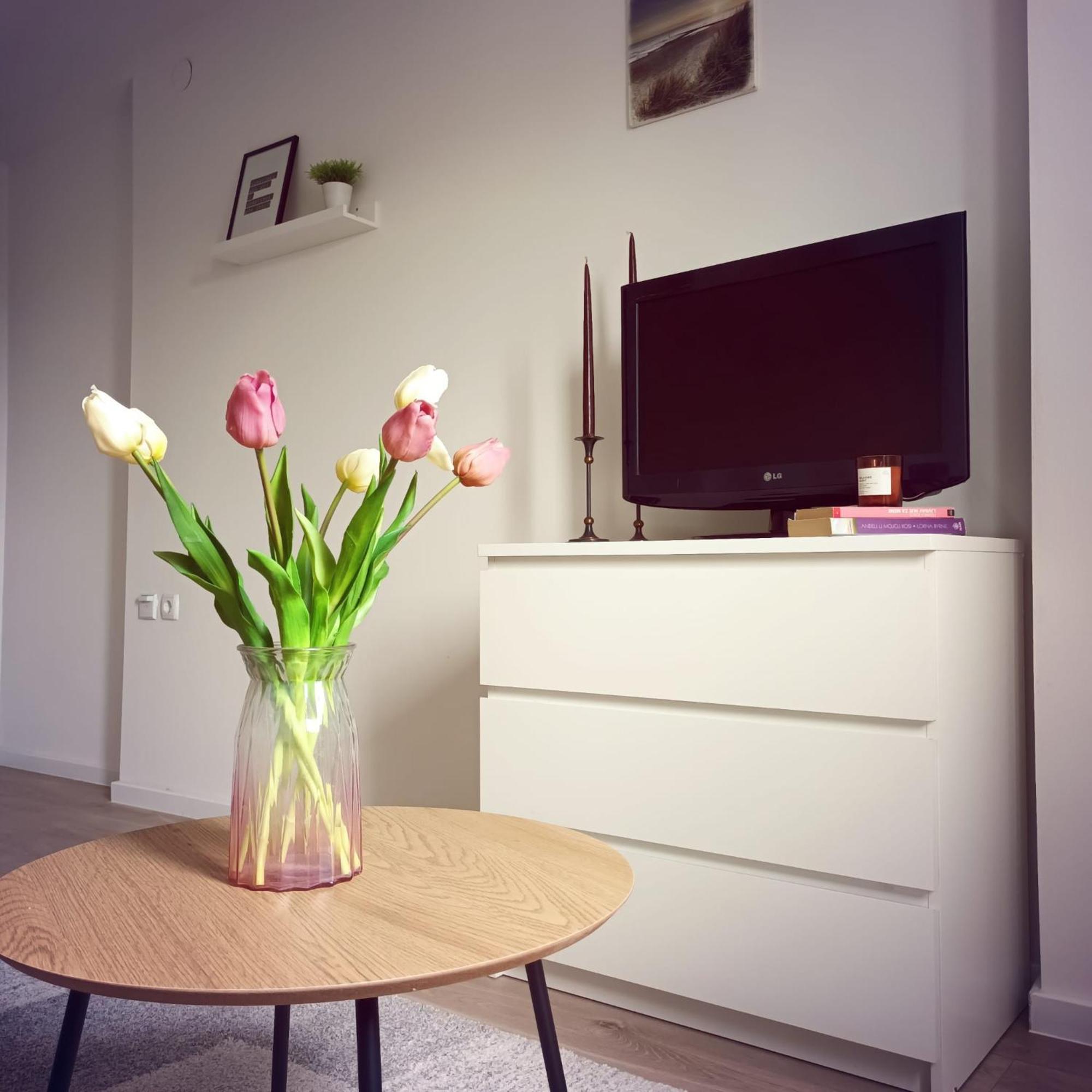 Bright And Modern Studio Near City Center Apartman Zágráb Kültér fotó